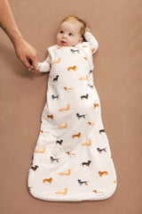Sleep Bag in Dachshund 1.0