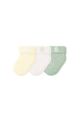 Baby 3-Pack Socks in Fresh