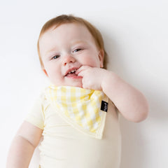Bib in Gingham Chamomile