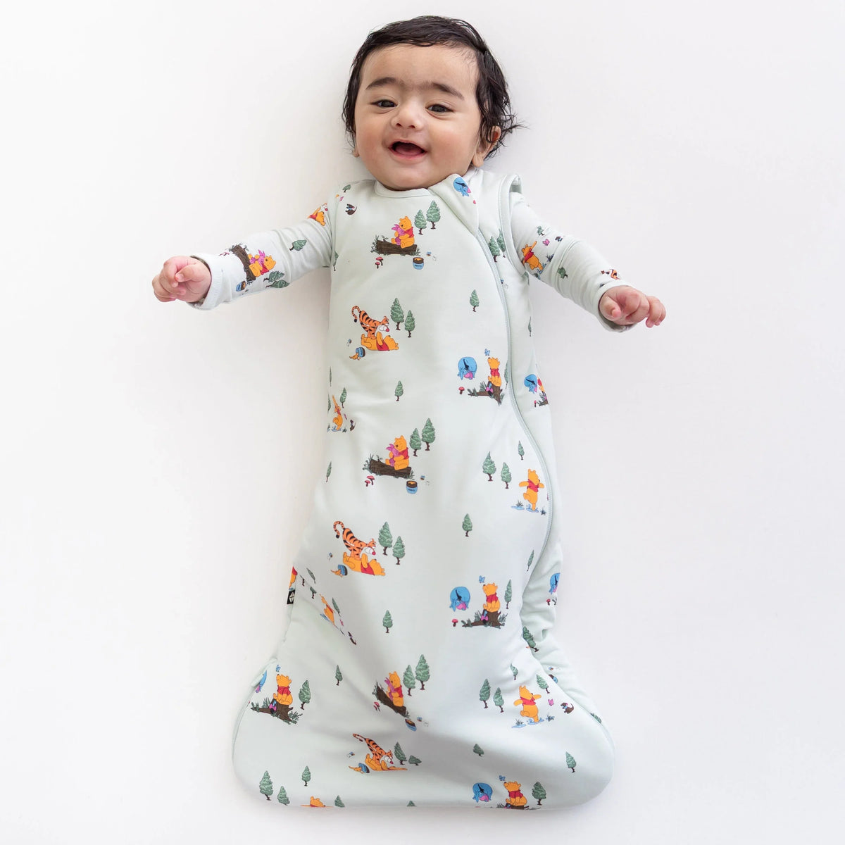 Sleep Bag in Winnie the Pooh Hundred Acre Wood 1.0