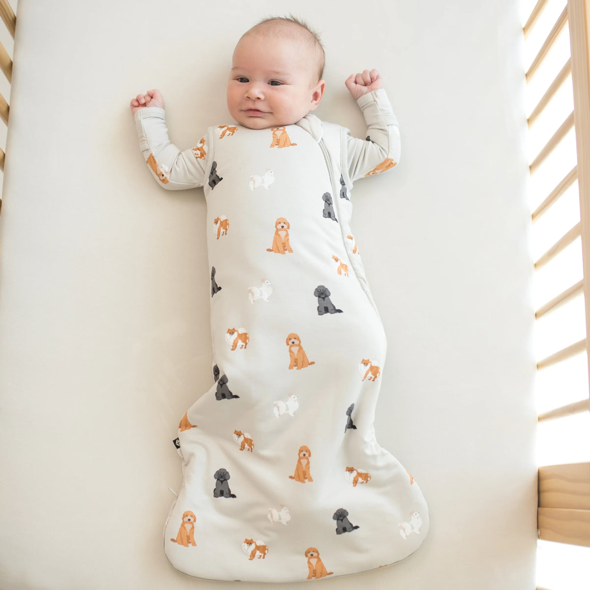 Sleep Bag in Fluffy Dog 1.0