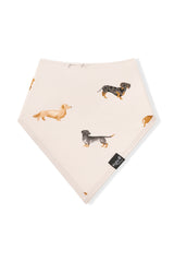 Bib in Dachshund