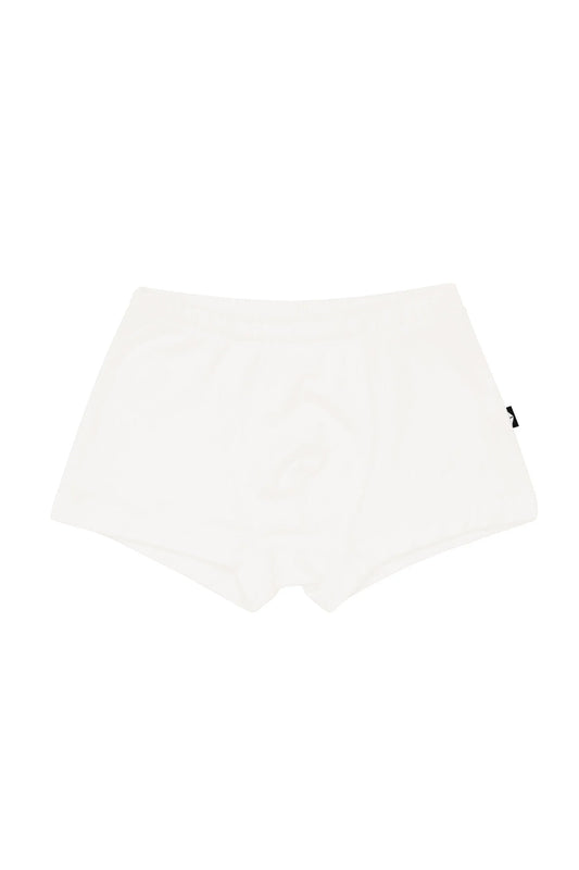 Briefs in Cloud