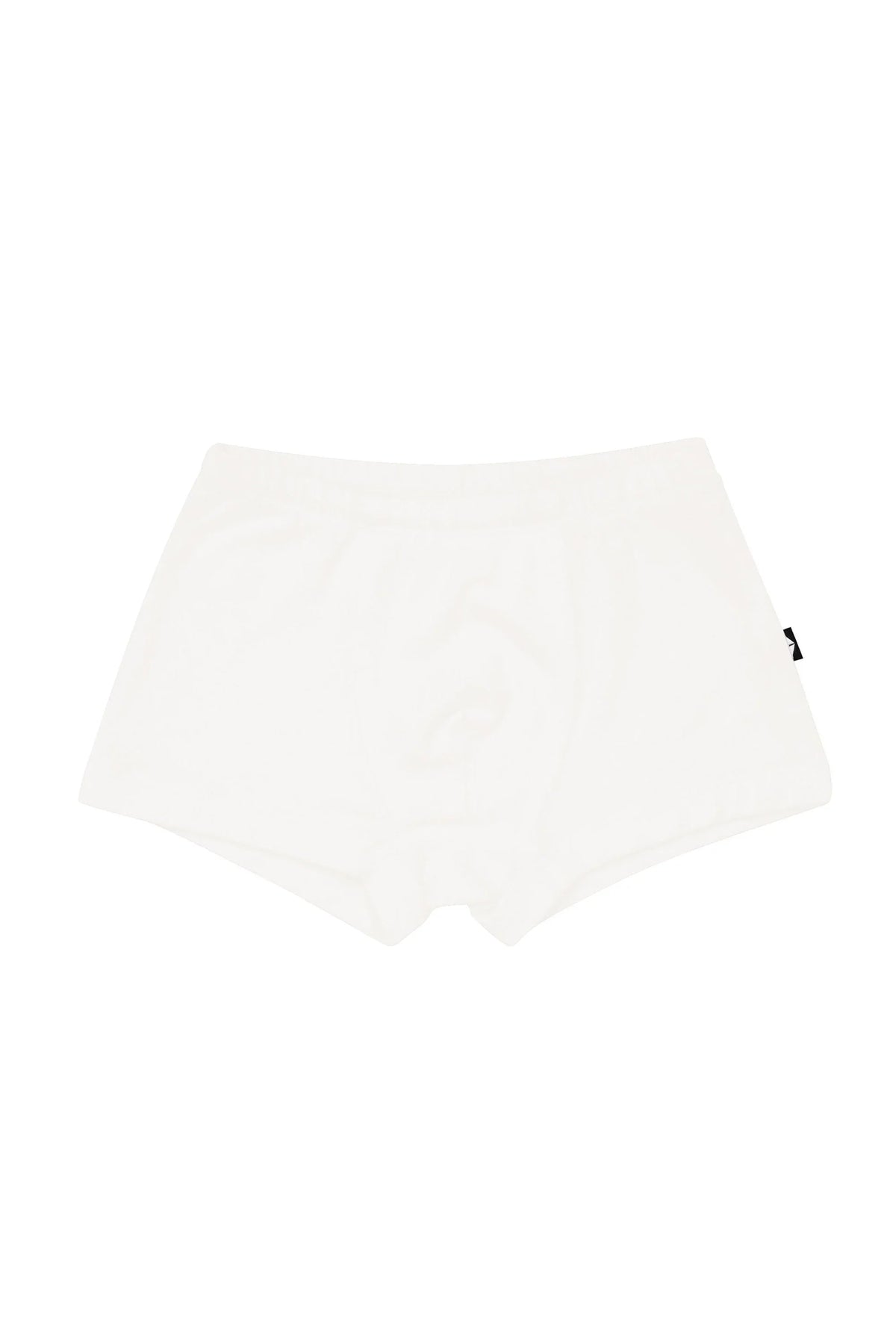 Briefs in Cloud
