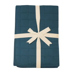 Youth Blanket in Atlantic 2.5