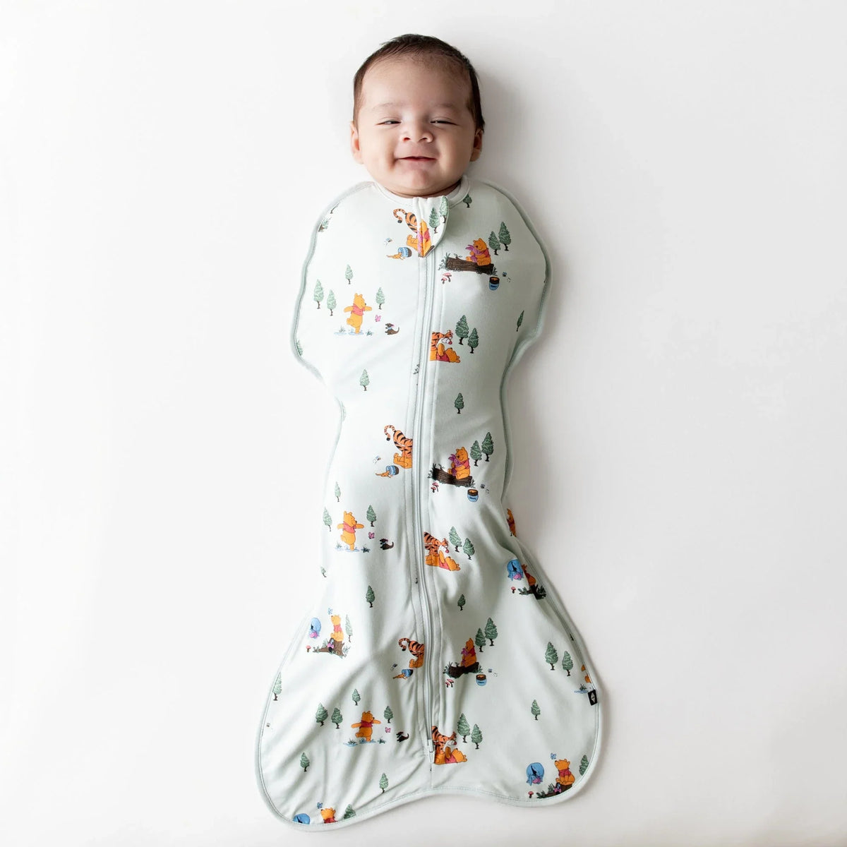 Swaddle Bag in Winnie the Pooh Hundred Acre Wood 0.5